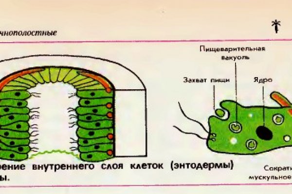 Кракен сайт 2krnk cc